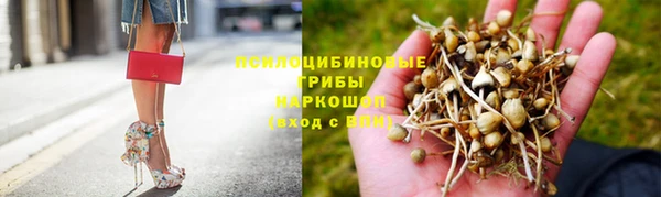 дмт Снежногорск