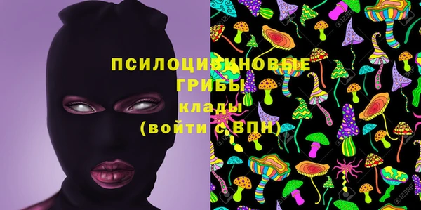 дмт Лабытнанги