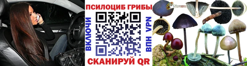 Псилоцибиновые грибы Psilocybine cubensis  купить  сайты  mega ONION  Чудово 